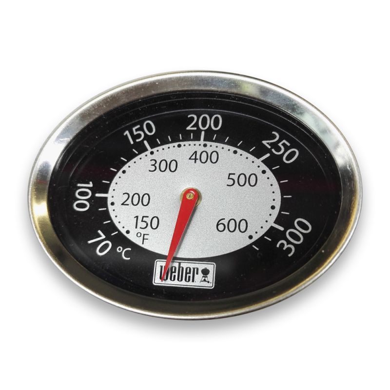 Thermometer mit Rosette Q 3000